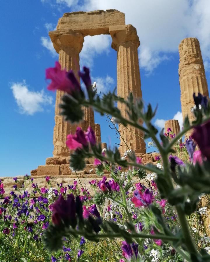 Tesori Di Girgenti Bed & Breakfast Agrigento Exterior photo